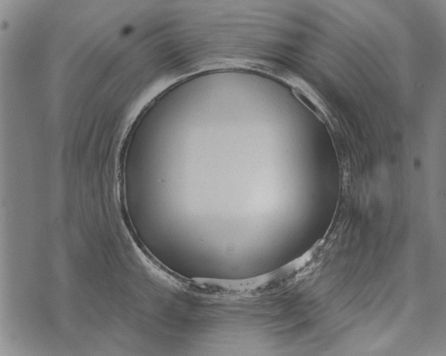 X0000073761143200608241405