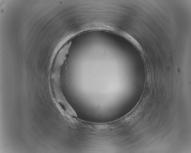 X0000073761144200608241405