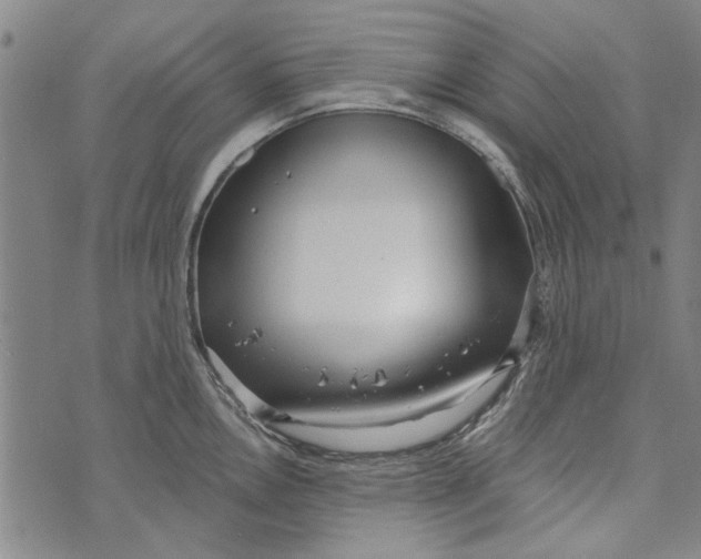 X0000073761146200608241405