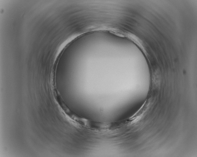 X0000073761149200608241405