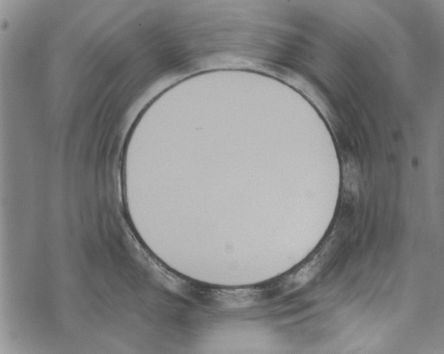 X0000073761150200608241405