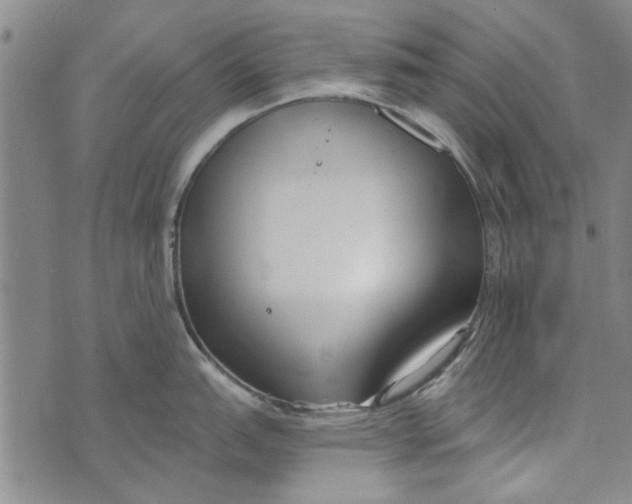 X0000073761151200608241405