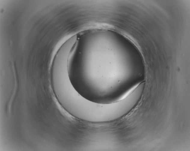 X0000073761152200608241405