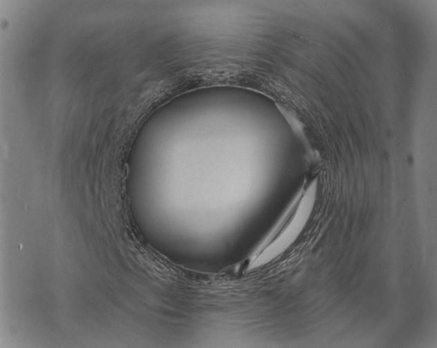 X0000073761153200608241405