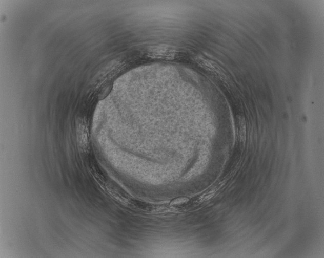 X0000073761154200608241405