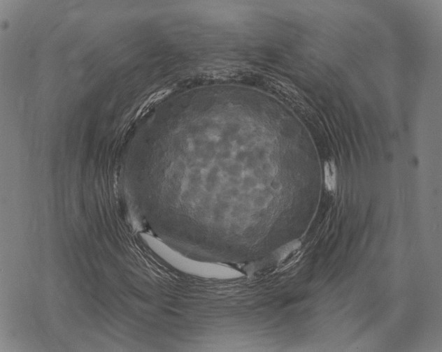 X0000073761155200608241405