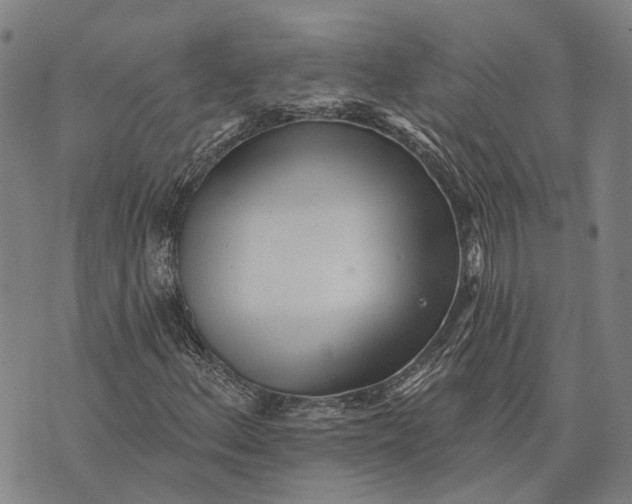 X0000073761156200608241405