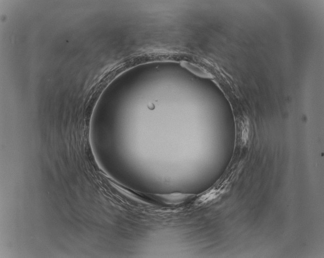 X0000073761157200608241405