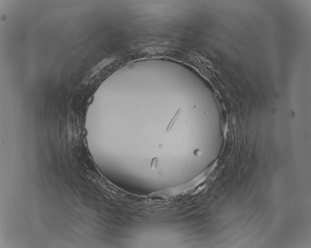 X0000073761158200608241405