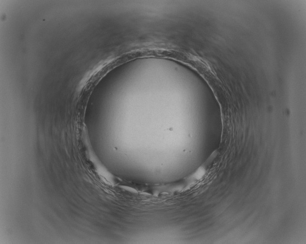 X0000073761159200608241405