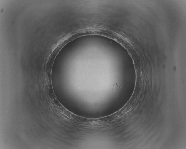 X0000073761160200608241405