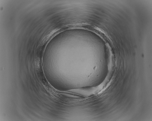 X0000073761161200608241405