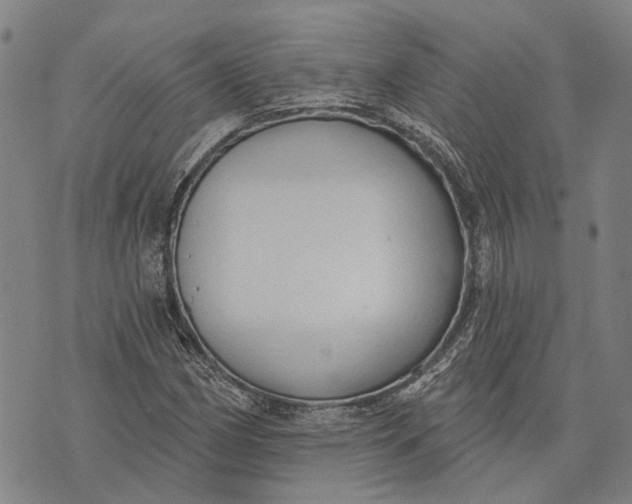 X0000073761162200608241405