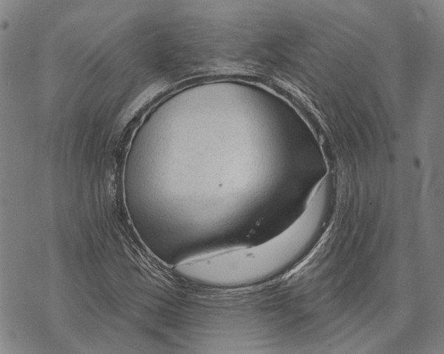 X0000073761163200608241405