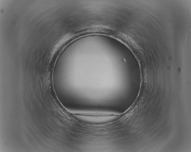 X0000073761164200608241405