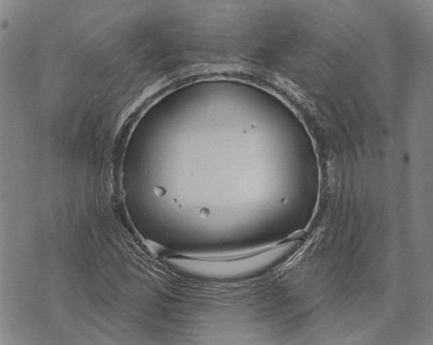 X0000073761165200608241405