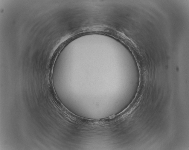 X0000073761166200608241405