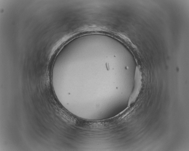 X0000073761167200608241404