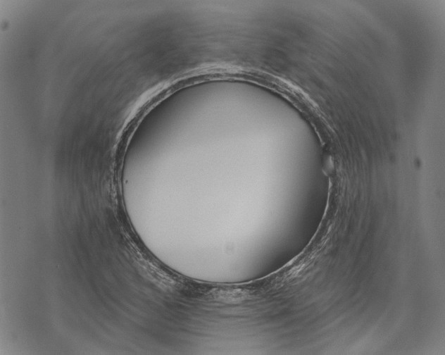 X0000073761168200608241404