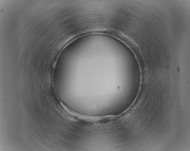 X0000073761169200608241404