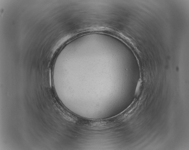 X0000073761171200608241404