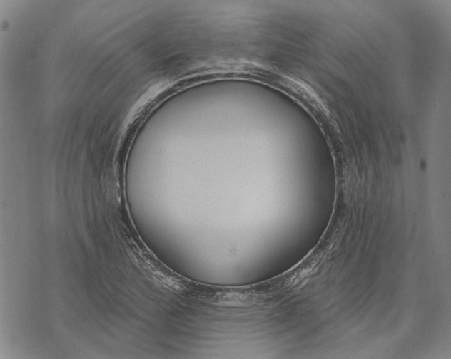 X0000073761172200608241404