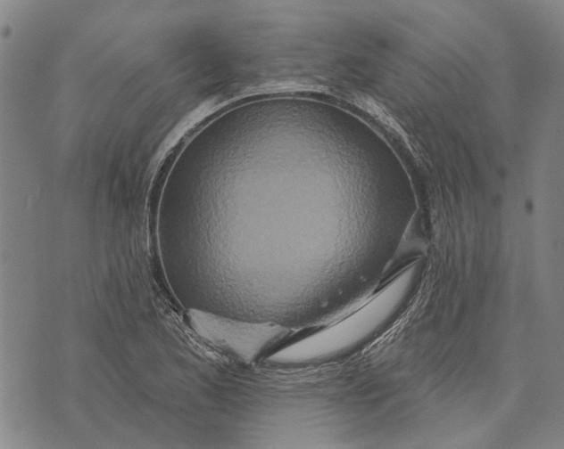 X0000073761173200608241404