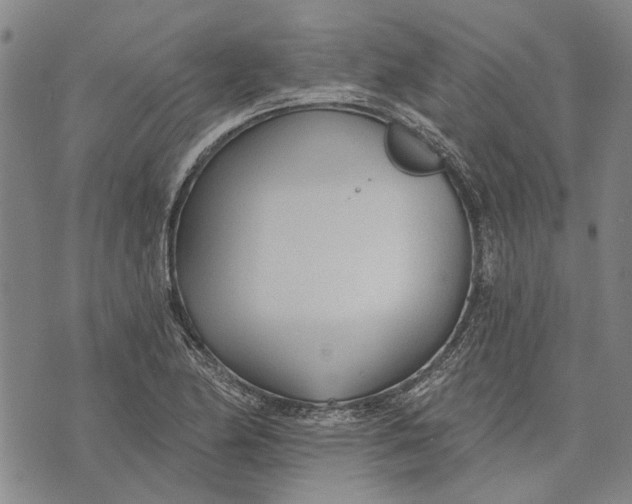 X0000073761174200608241404