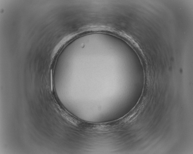 X0000073761175200608241404