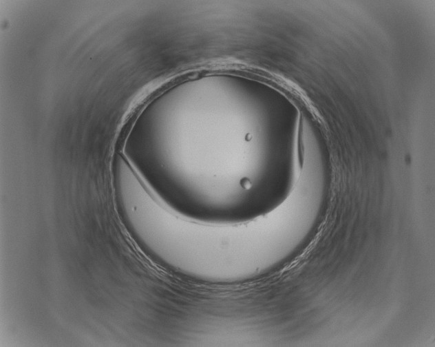 X0000073761176200608241404