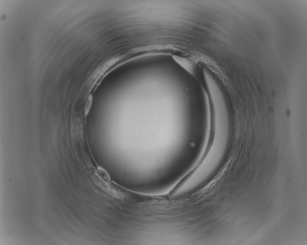 X0000073761177200608241404