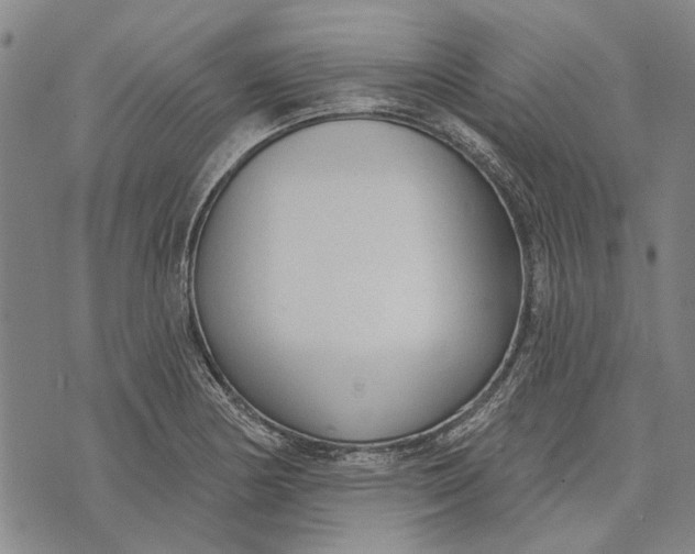 X0000073761178200608241404