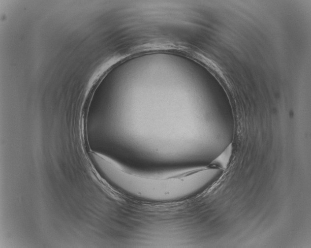 X0000073761179200608241404