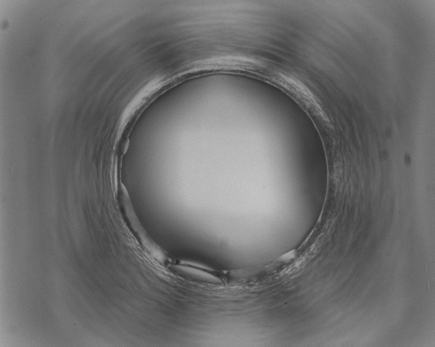 X0000073761180200608241404