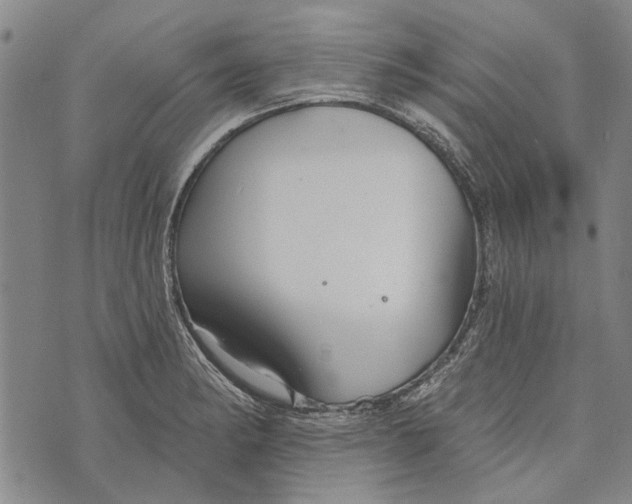 X0000073761182200608241404