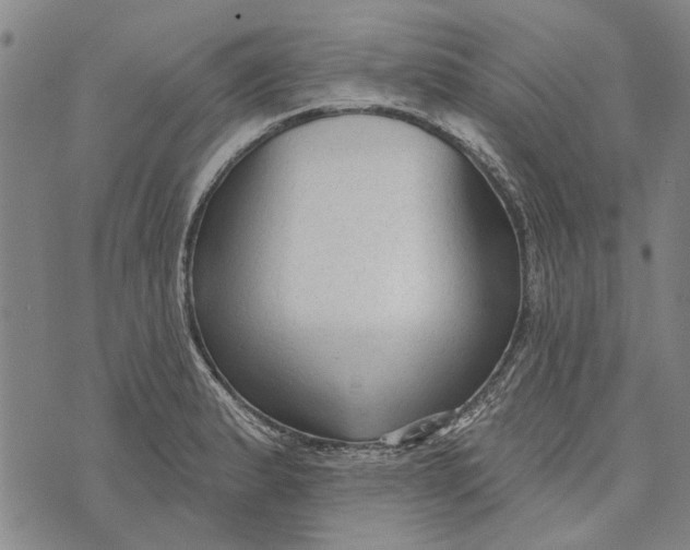 X0000073761183200608241404