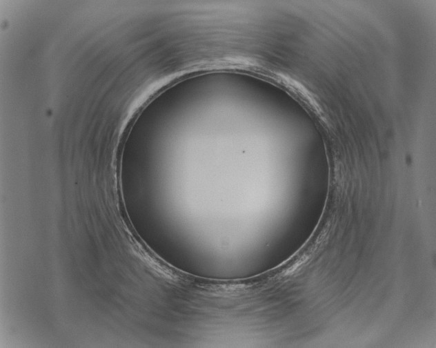 X0000073761184200608241404