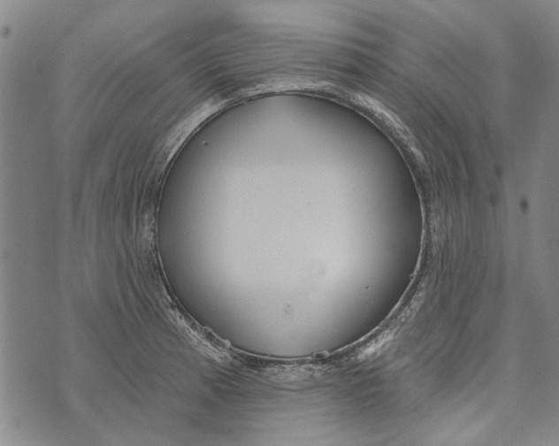 X0000073761185200608241404