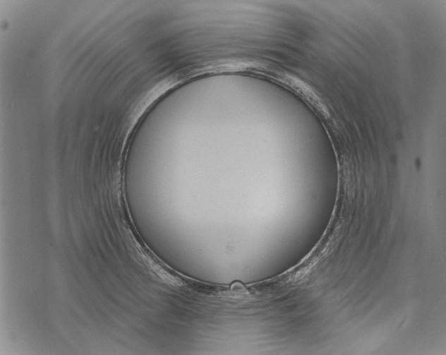 X0000073761186200608241404