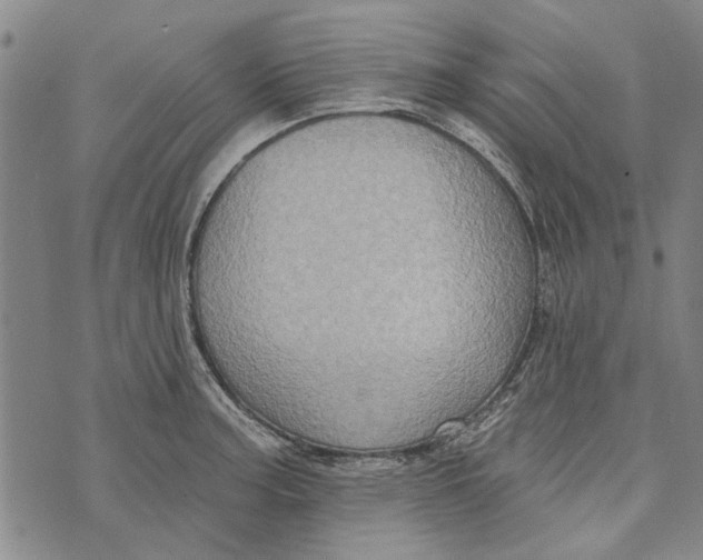 X0000073761187200608241404