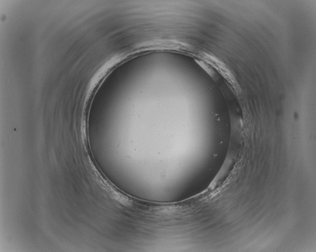 X0000073761188200608241404