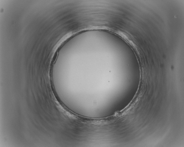 X0000073761189200608241404