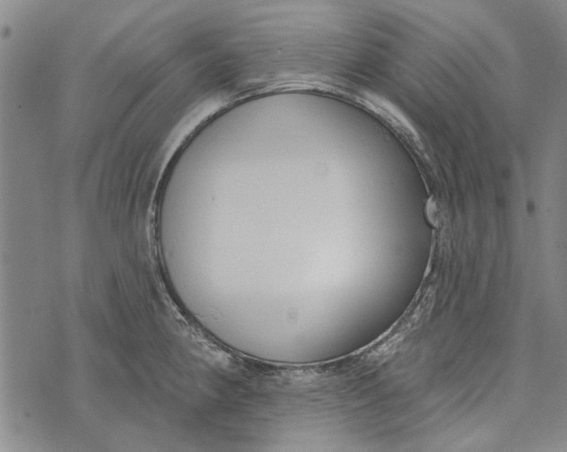 X0000073761190200608241404