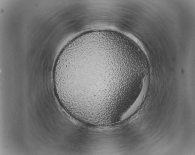 X0000073761191200608241404