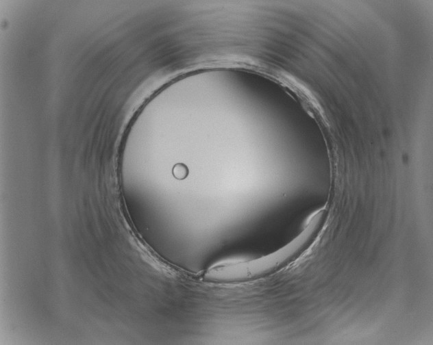 X0000073761192200608241404