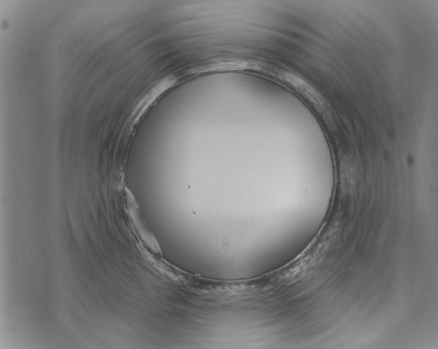 X0000073761193200608241404