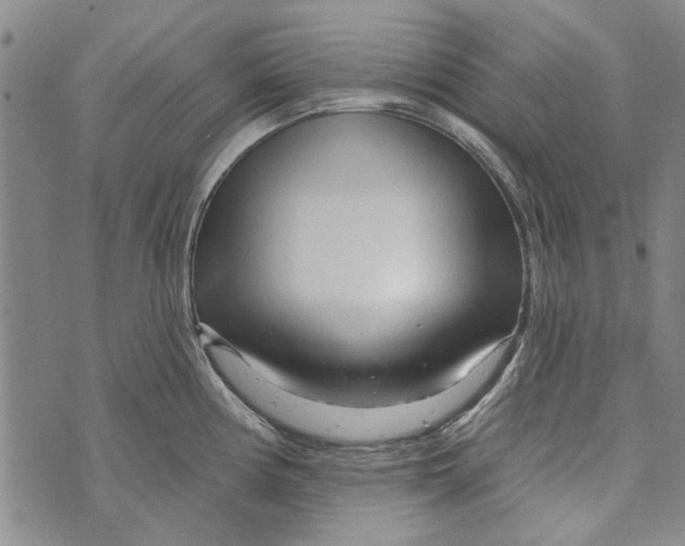 X0000073761194200608241404