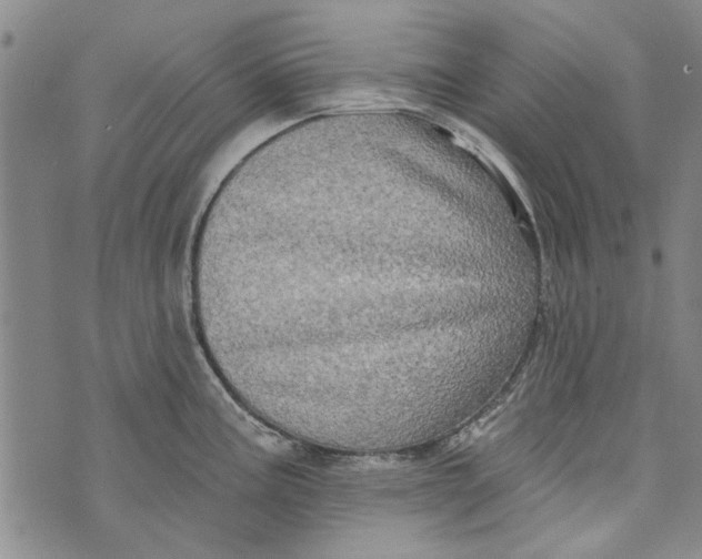 X0000073761195200608241404