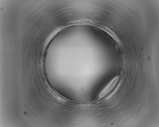 X0000073761196200608241404