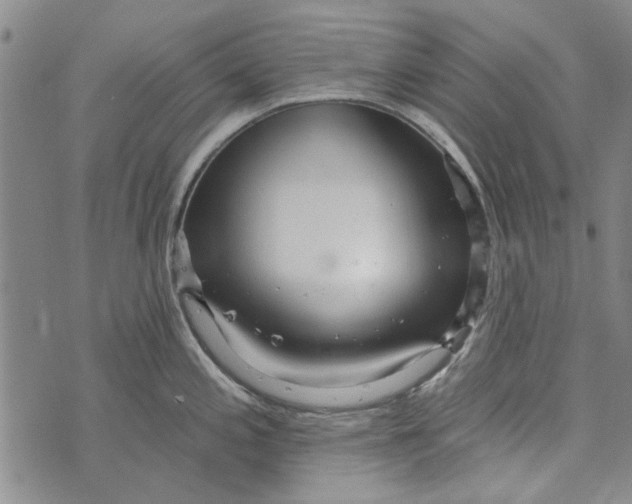 X0000073761197200608241404